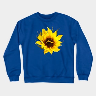 Sunflowers - Puzzled Sunflower Crewneck Sweatshirt